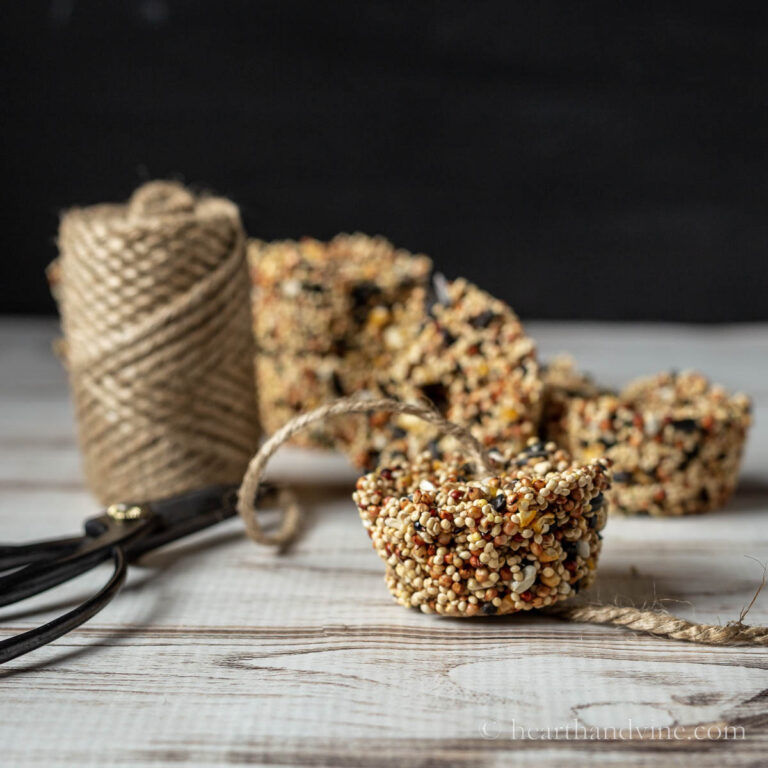 Bird Seed Cake Recipe