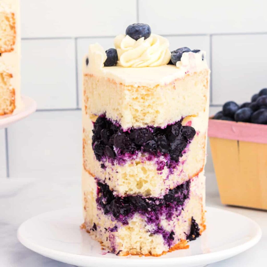 Blueberry Cake Filling Recipe